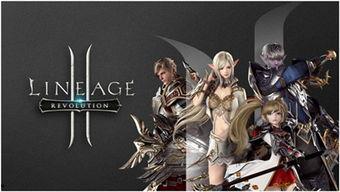 天堂2,探寻奇幻世界的传奇之旅